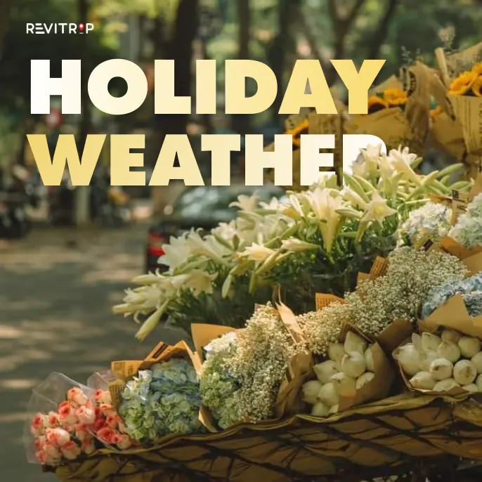 Weather During Tet 2026: Your Essential Vietnam Guide