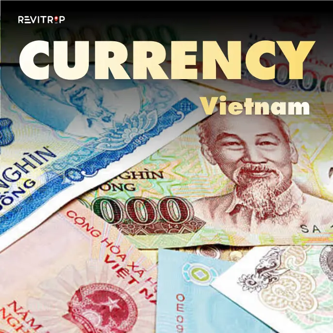vietnam currency state bank of vietnam building and exchange rate guide