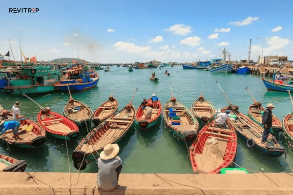 Ham Ninh Fishing Village 