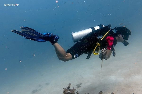 Diving service at Con Dao Dive Center