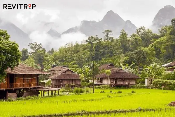 Homestay Du Gia
