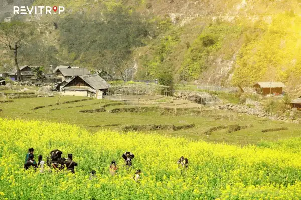 Spring in Ha Giang