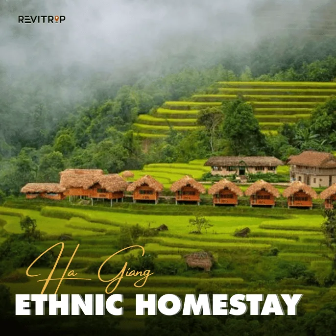 Where to Stay in Ha Giang: Ethnic Homestays Worth Every Dong