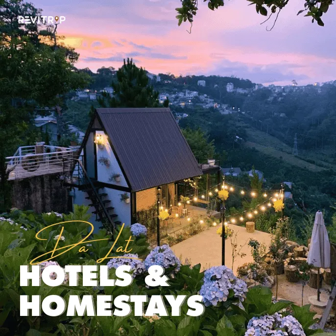 Hotel in Da Lat: 3 Charming Homestays for a Softer Stay