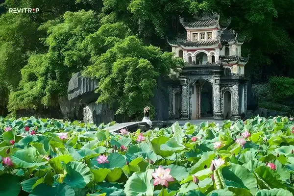 荷花盛开季节的碧洞寺