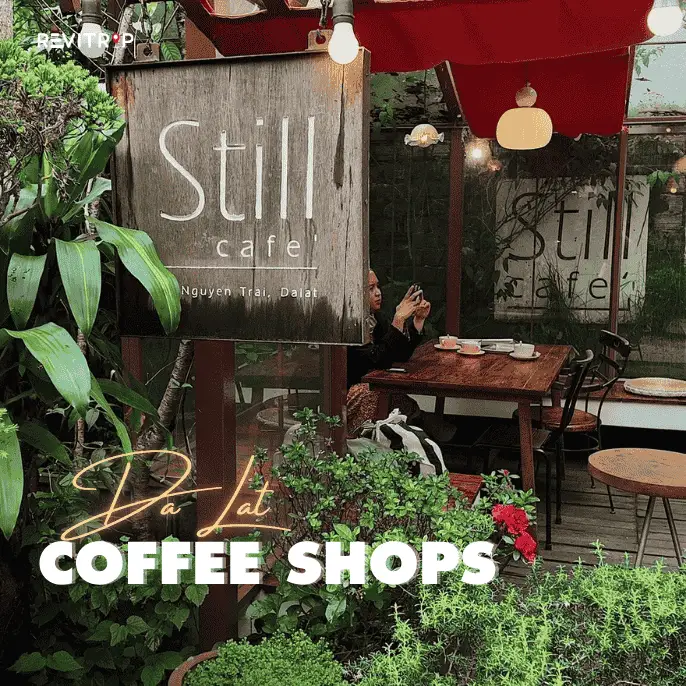 Coffee Shops in Da Lat: 5 Places to Sit With the Mist a Little Longer