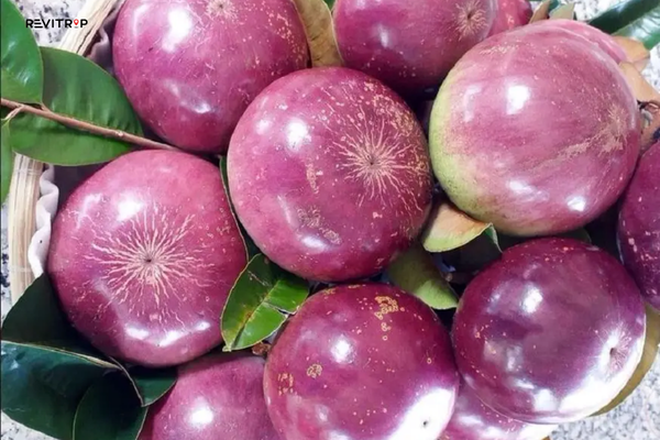 Chu Hai Son Orchard - Binh Duong