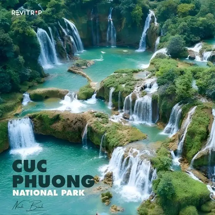 Cuc Phuong National Park: Is It Worth Visiting?