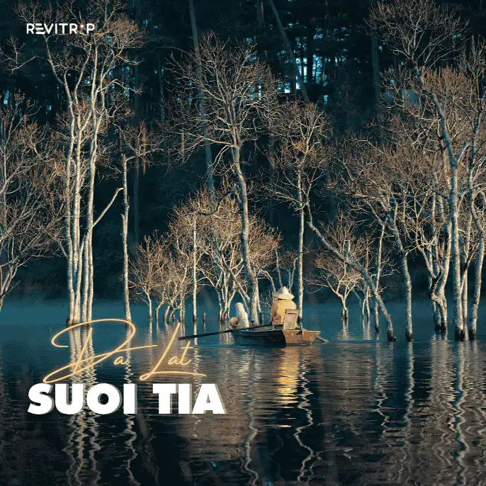 Da Lat City: Suoi Tia – the Misty Stillness of Da Lat