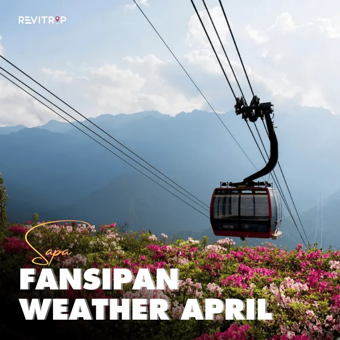 Fansipan weather in April: temperatures 8–15°C, low rain, clear skies, and rhododendron season. Is April is the right month for your trip?