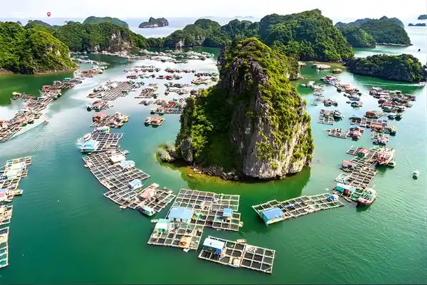 Ha Long Bay Floating Villages