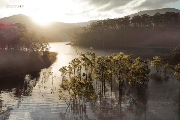 Flooded forest at Suoi Tia in Da Lat City