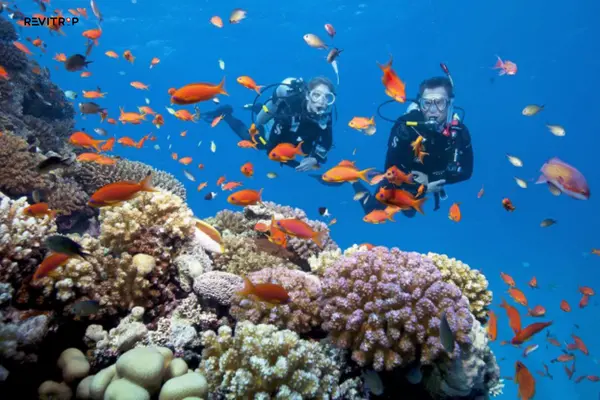 Hon Thom：乘船可达的离岛村庄