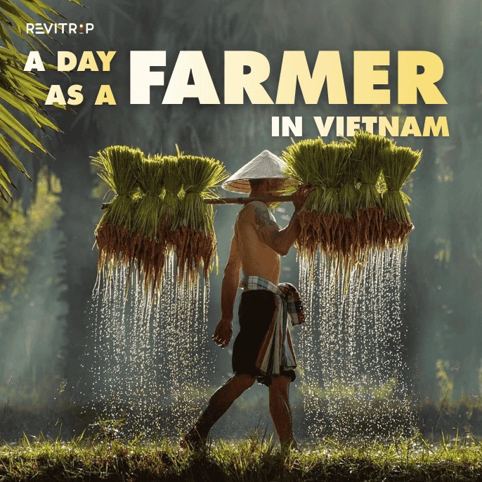 A Day as a Farmer in Vietnam: Why You Should Try It
