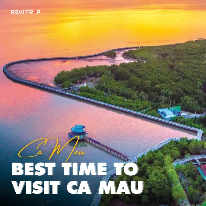 Best Time to Visit Ca Mau: Seasons, Festivals and Travel Tips