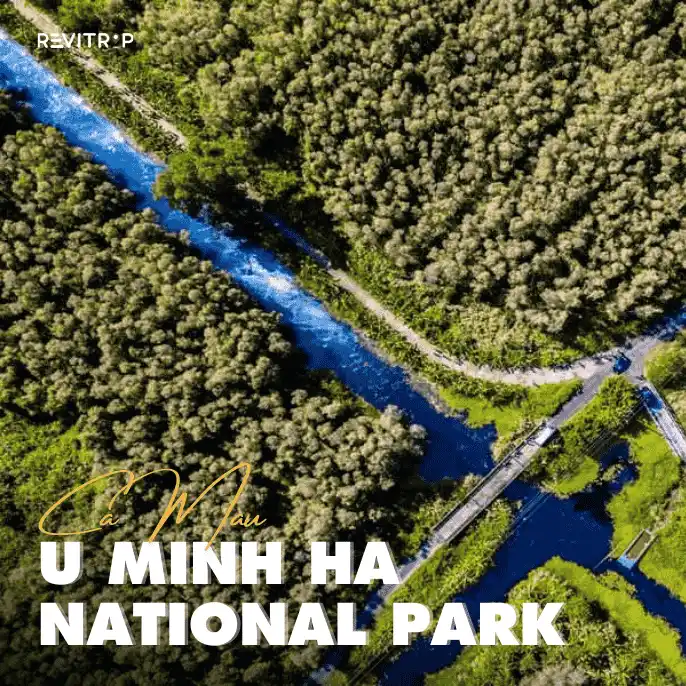 U Minh Ha National Park: Complete Visitor Guide for 2026