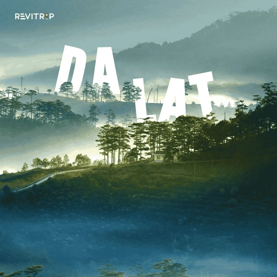 Da Lat City Itinerary: Three Days of Mist Light, Hillside Coffee, and Easy Detours