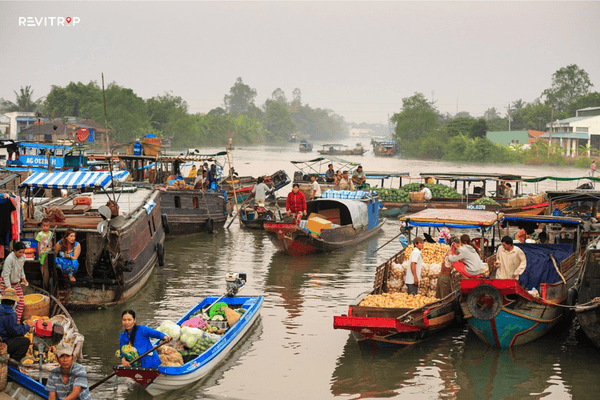 Narrow Mekong Delta canal with coconut-laden boats