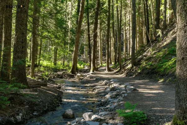 富国岛国家公园