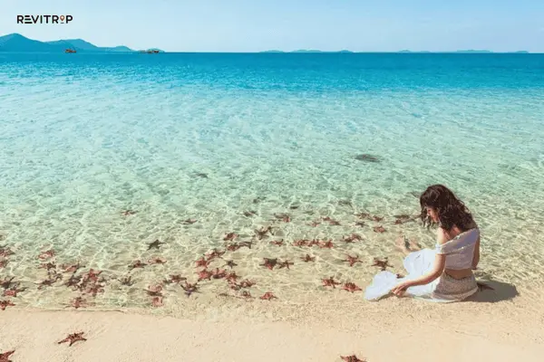 星星海滩：如画般的天堂