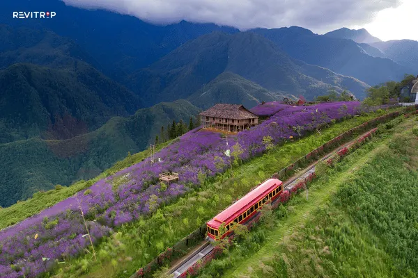 Sapa tour Fansipan mountain cable car aerial view over Hoang Lien Son