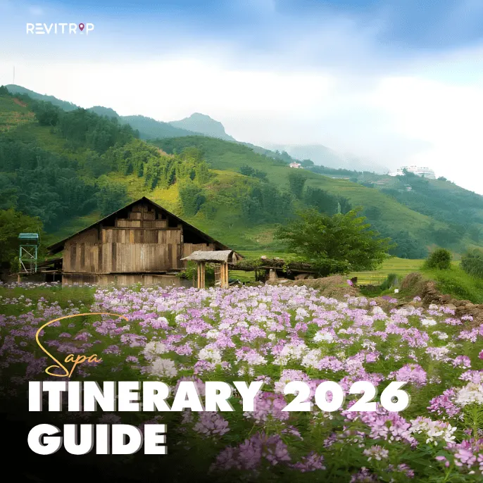 Sapa Tour: Best Itineraries for 2 to 5 Days (2026 Guide)