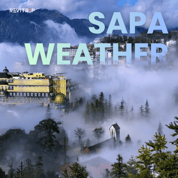 Sapa Weather by Month: When to Visit and What to Expect
