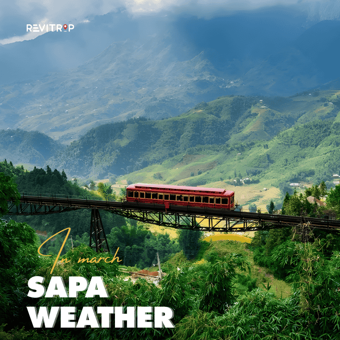 Sapa Weather in March: What to Expect and What to Do (2026)