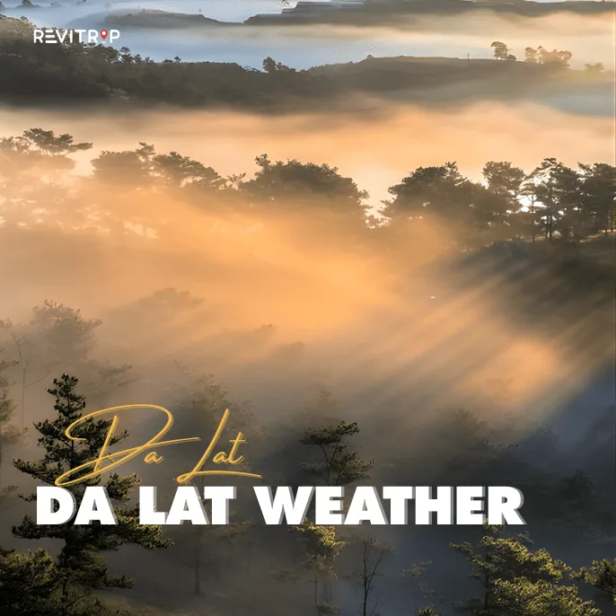 Da Lat Weather: What to Expect in Vietnam’s City of Eternal Spring
