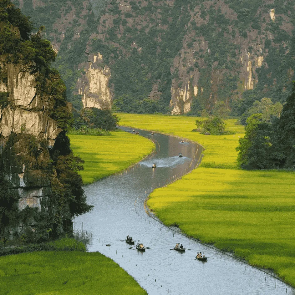 Nature