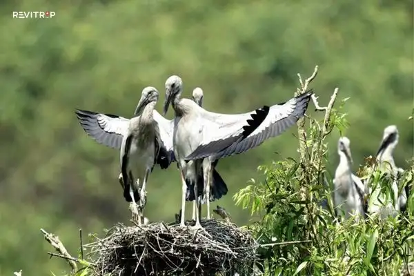 Thung Nham Bird Park
