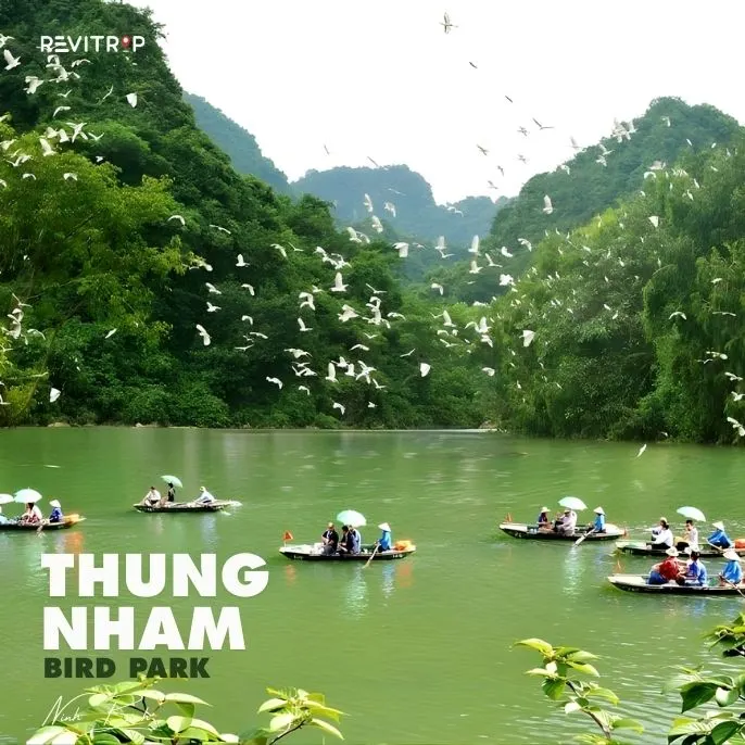 Thung Nham Bird Park: Ninh Binh’s quietest nature escape
