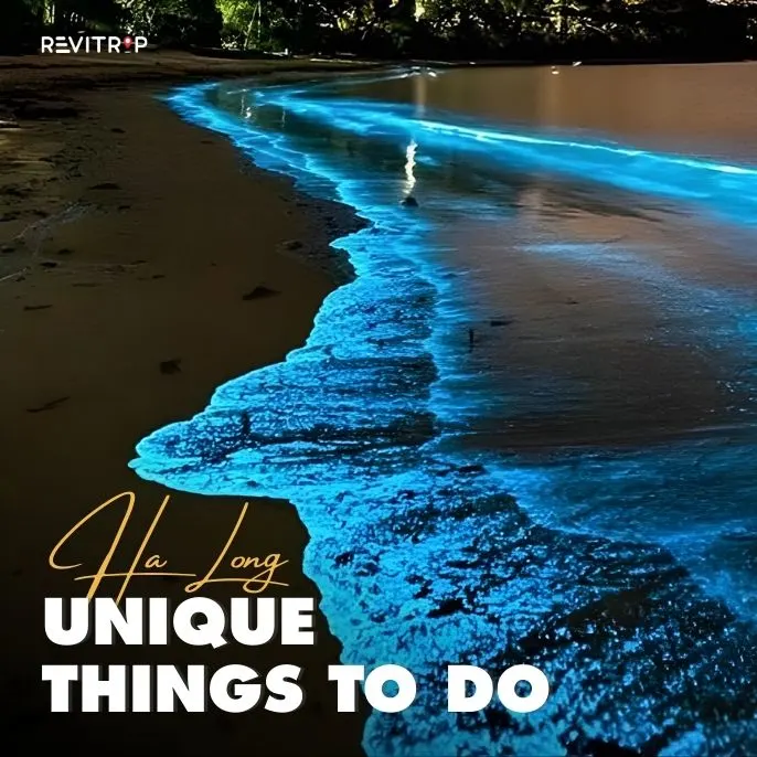 7 Unique Things to Do in Ha Long Bay