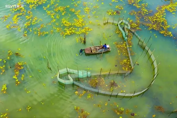 Best Time to Visit Van Long