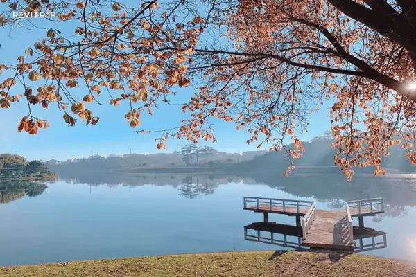 Xuan Huong Lake in Da Lat City