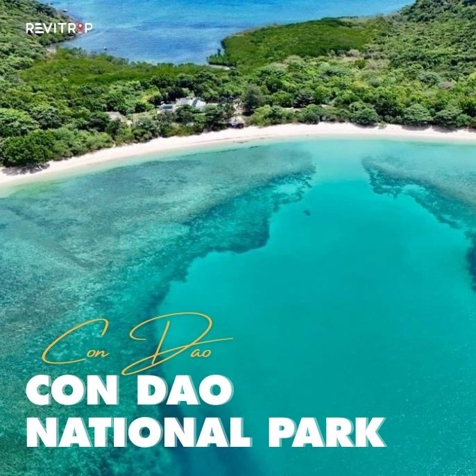 Con Dao National Park: Turtles, Dugongs Habitat