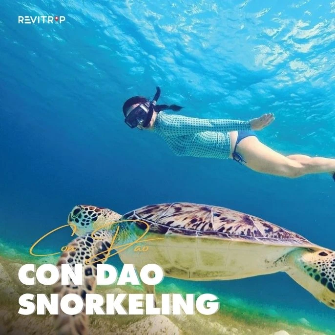 Con Dao Snorkeling Guide: Best Spots + When to Go