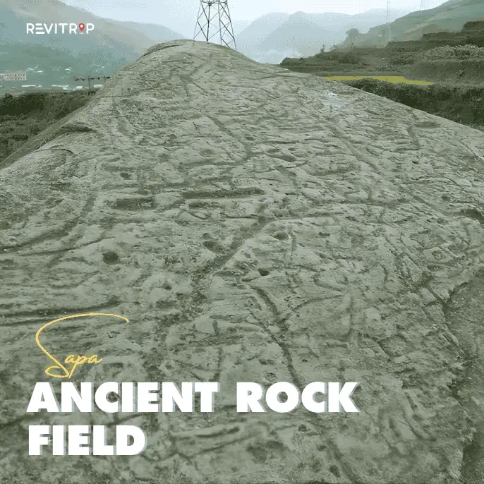 Sa Pa Ancient Rock Field: A Heritage Site Hidden in Muong Hoa Valley