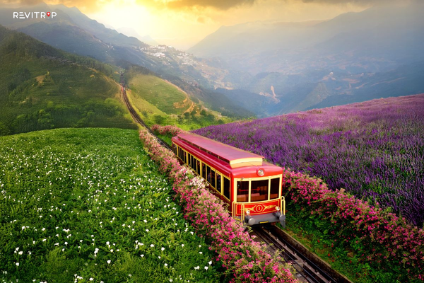 Muong Hoa Mountain Train from Sapa Station