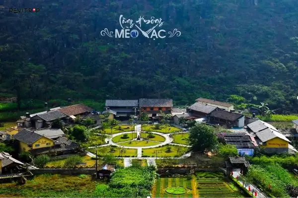 Meo Vac