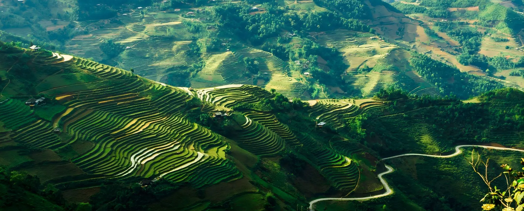 Terraced rice fields winding across green mountain slopes in northern Vietnam